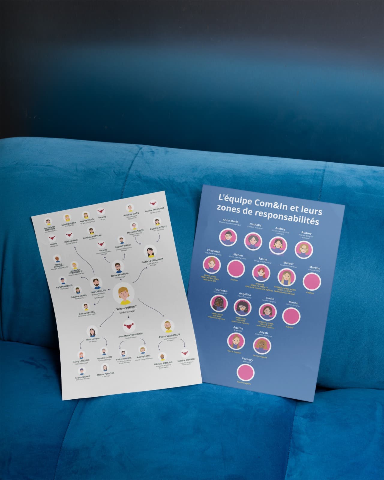 Organigramme équipe